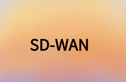 SD-WAN提供安全、靈活且經(jīng)濟(jì)高效的解決方案