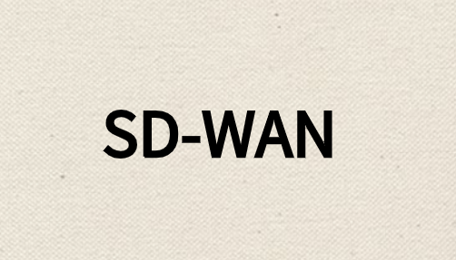 為什么需要對SD-WAN網(wǎng)絡(luò)進行細(xì)分?